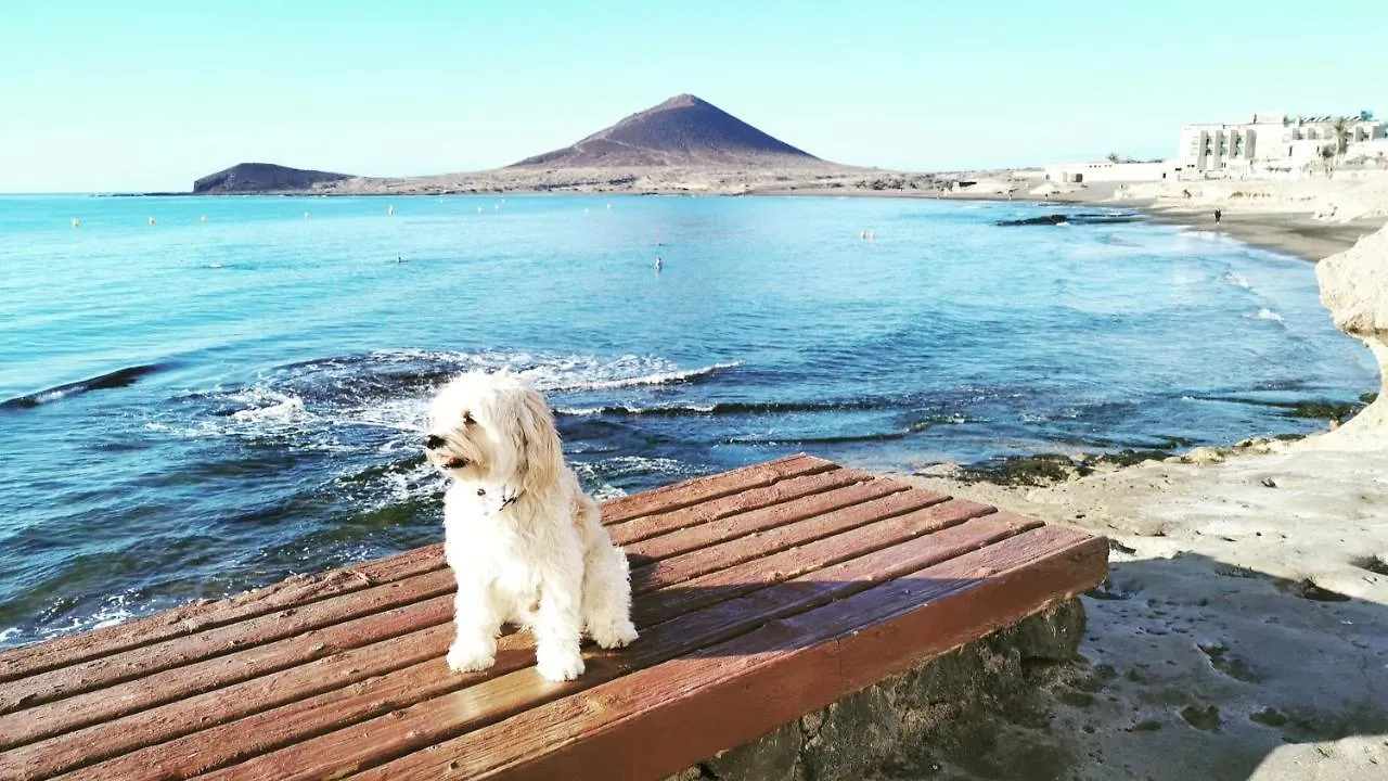 Divino En Playa Lägenhet Granadilla De Abona 0*,  Spanien